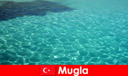 ムグラの経験でトルコの休日安いオールインクルーシブ