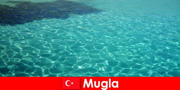 ムグラの経験でトルコの休日安いオールインクルーシブ