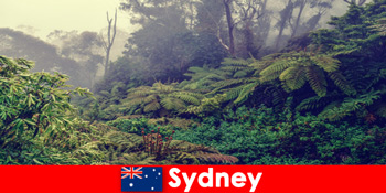 シドニーオーストラリアを国立公園の印象的な世界に探検