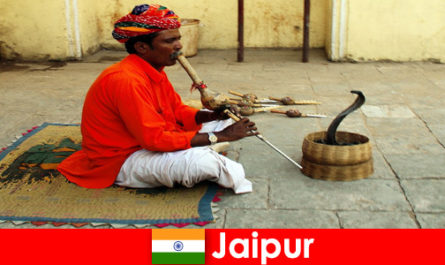 ジャイプールインドでは、行楽客は賑やかな通りでヘビの踊りやエンターテイメントを体験します