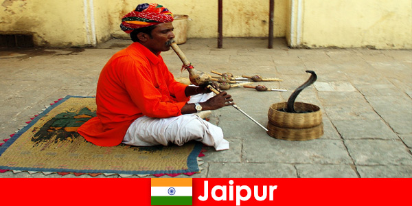 ジャイプールインドでは、行楽客は賑やかな通りでヘビの踊りやエンターテイメントを体験します