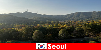 韓国ソウルへの人気グループホリデーパッケージ