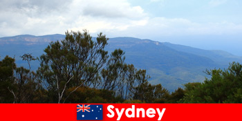 シドニーオーストラリアの自然の観光客のためのリラックスキャンプの休日