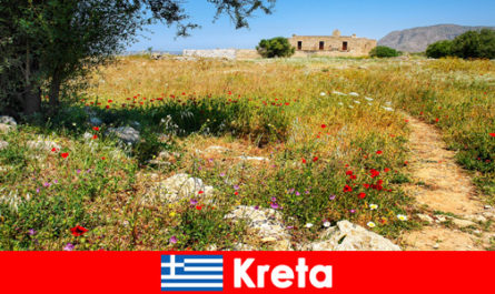 自然体験のある健康的な地中海料理は、クレタ島ギリシャの行楽客を待っています