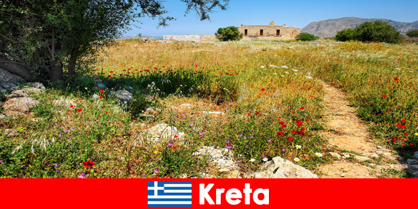 自然体験のある健康的な地中海料理は、クレタ島ギリシャの行楽客を待っています