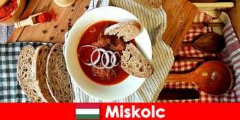 滞在中はハンガリー・ミシュコルツの地域や文化をお楽しみいただけます。