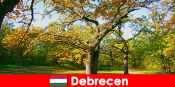 多くの心を持つデブレツェンハンガリーの年金受給者のためのスパの休日